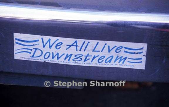 we all live bumpersticker